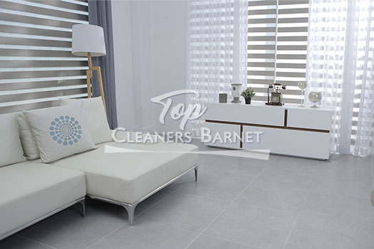 professional cleaners
